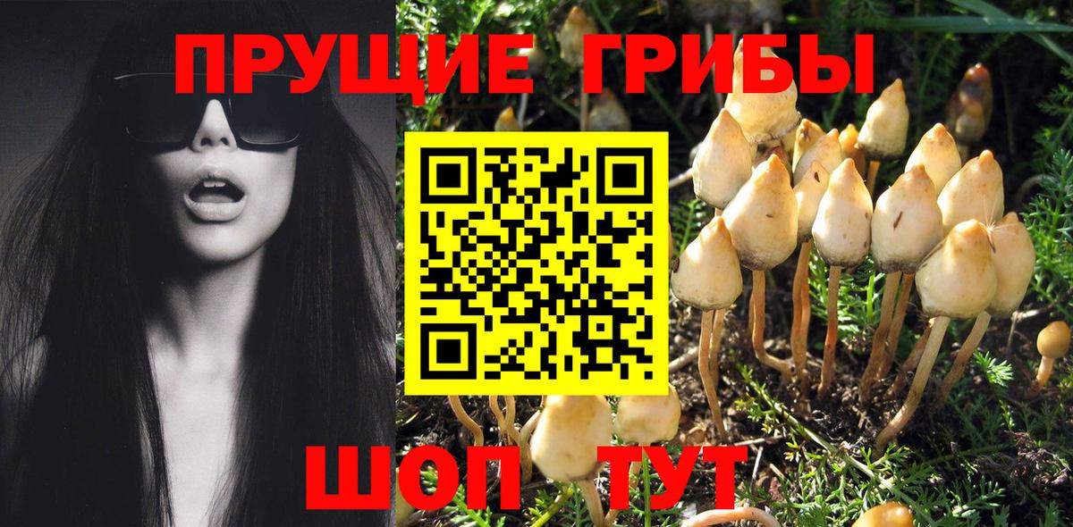 Глазов  Галлюциногенные грибы MAGIC MUSHROOMS  Вход с VPN 