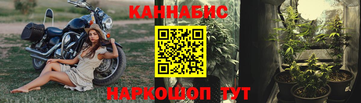 Конопля AK-47 Глазов